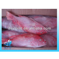 Frozen red snapper on sale